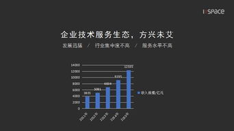 企業(yè)技術(shù)服務(wù)生態(tài)的產(chǎn)品邏輯