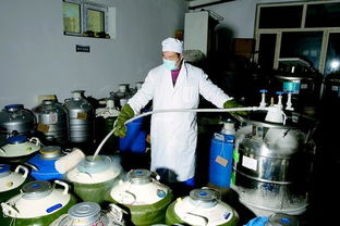 天山生物 國(guó)內(nèi)領(lǐng)先的畜牧遺傳物質(zhì)產(chǎn)品及技術(shù)服務(wù)提供商