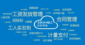 上?；ヂ摼W軟件集團 高端協同管理軟件與企業管理咨詢服務提供商